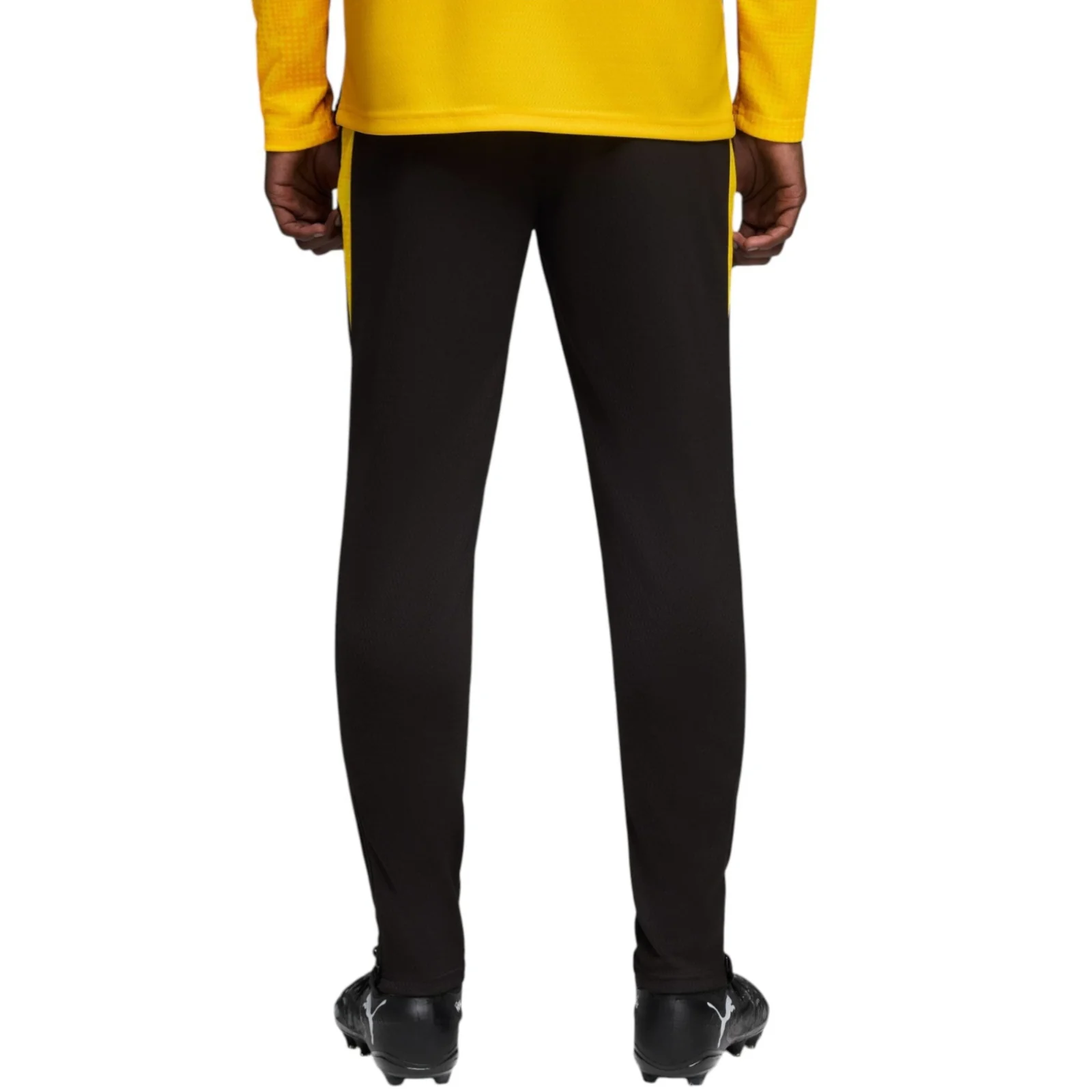 Puma Borussia Dortmund Football 2025/26 Adults Training Pant